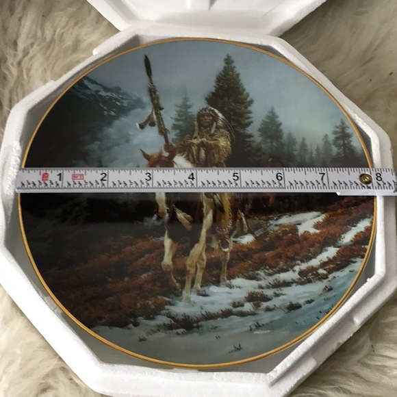 NEW 1992 The Hamilton Collection Mystic Warrior Windrider plate numbered CoA - Picture 6 of 8